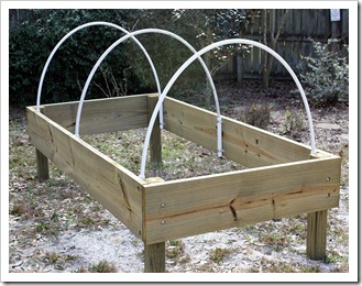 raised bed