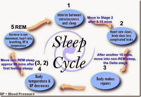 sleepcycle sleepcycle