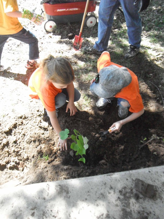 [Planting7%255B3%255D.jpg]