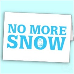 no_more_snow_card-p137336264681128848bksht_210