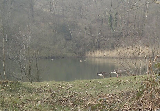 IMAG0093-1.jpg
