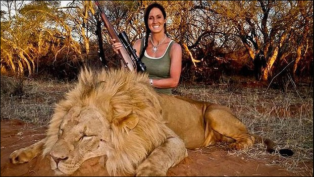 Melissa Bachman, a keen hunter who produces programs on the American outdoors, posted a photograph on Facebook and Twitter of her holding a rifle and smiling beside the corpse of a male lion, 16 November 2013. Photo: Melissa Bachman / Twitter