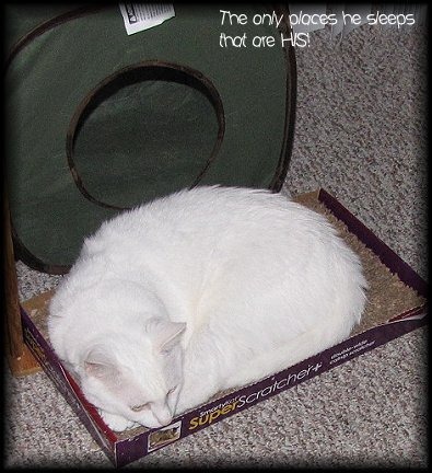 [sleep1%255B1%255D%255B3%255D.jpg]