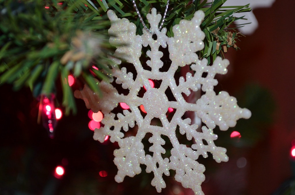 [DSC_0063%255B7%255D.jpg]