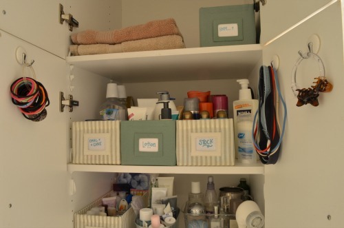 [HSR%2520Master%2520Bath%2520Organization%25205%255B13%255D.jpg]
