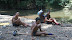 DSC04346.JPG