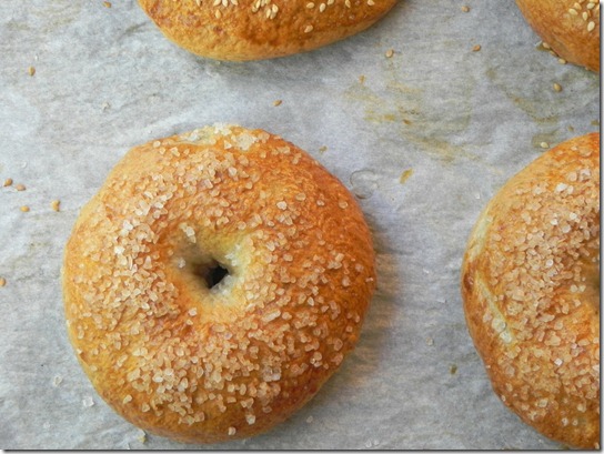 whole-wheat-sea-salt-bagel-3 whole-wheat-sea-salt-bagel-3