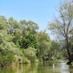 IMG_7729.JPG