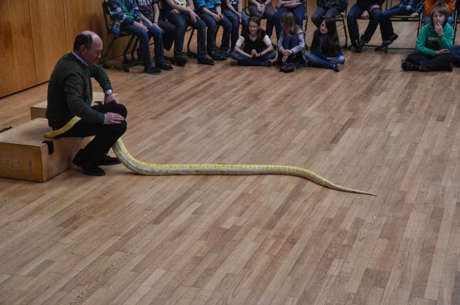 Schlangenschau_49.jpg