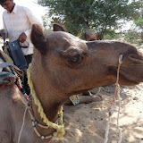 India 2