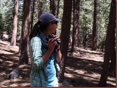 mammoth 086