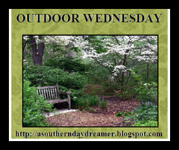 [Outdoor-Wednesday-logo_thumb1_thumb1.png]