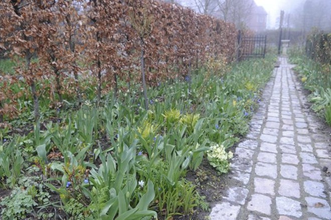 claus20120412_172543