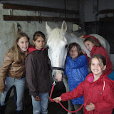 Album weergeven