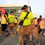 Pet Express Doggie Run 2012 Philippines. Jpg (226).JPG