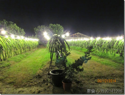 IMG_0102 IMG_0102