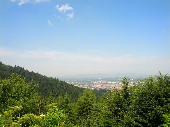 IMG_20130706_121725.jpg