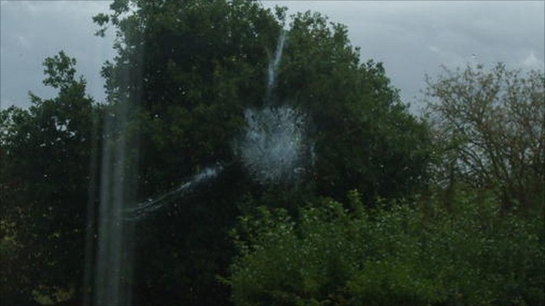 bird-imprints-2 bird-imprints-2