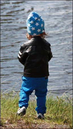 IMG_1716 IMG_1716