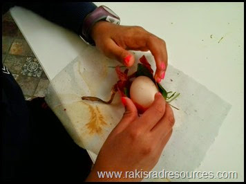 Making easter eggs with natural dies from onion skins - great Earth Day and Easter link. Raki's Rad Resources