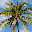 200802FlMiamiBeach_25.jpg