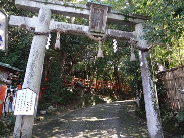 DSC04574 DSC04574