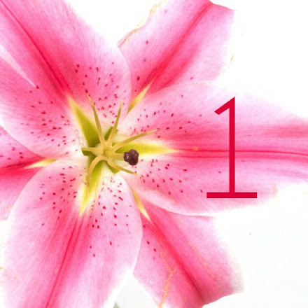 Tigerlily - JPGS 8 Table Number/Name