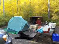 HPIM2442.JPG Photo
