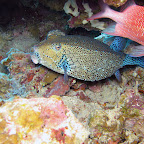 IMG_1389.JPG