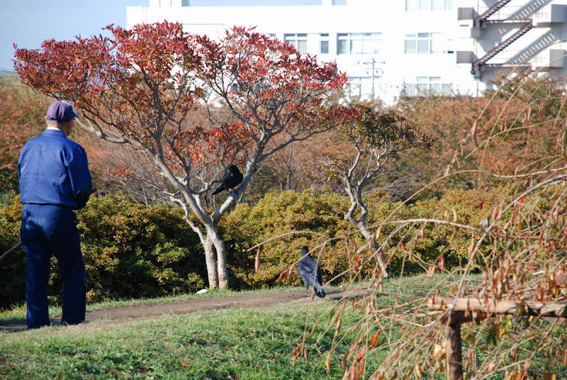 hokkaido_148.jpg