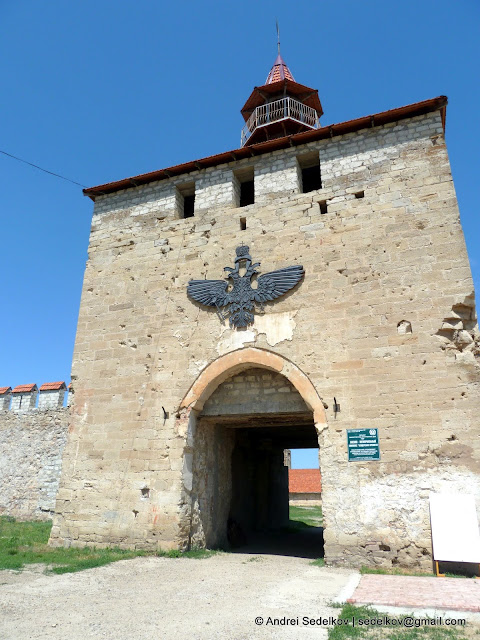 P1150924.JPG