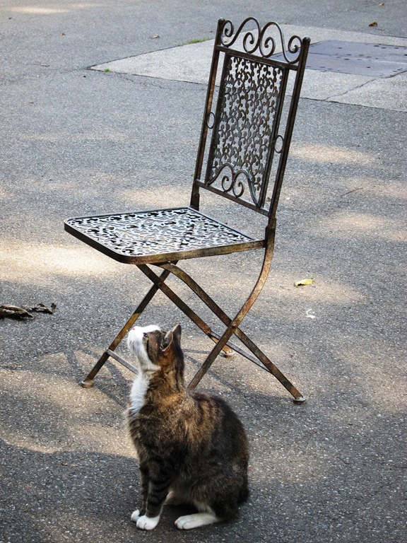 [IMG_1053%255B5%255D.jpg]