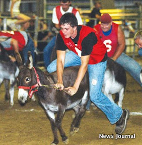 Riding a donkey 2x.jpg