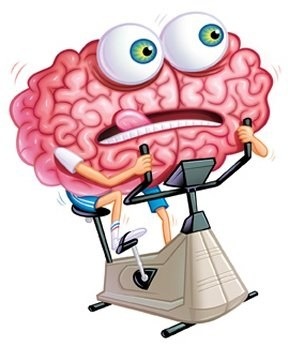 [Cerebro4.jpg]