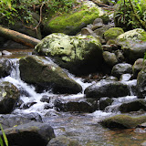 Waiseli Rainforest Preserve - Savusavu, Fiji
