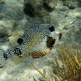 IMG_1536.JPG