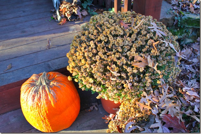 Dead mums sitting on the steps