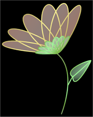 flower-sample-black flower-sample-black