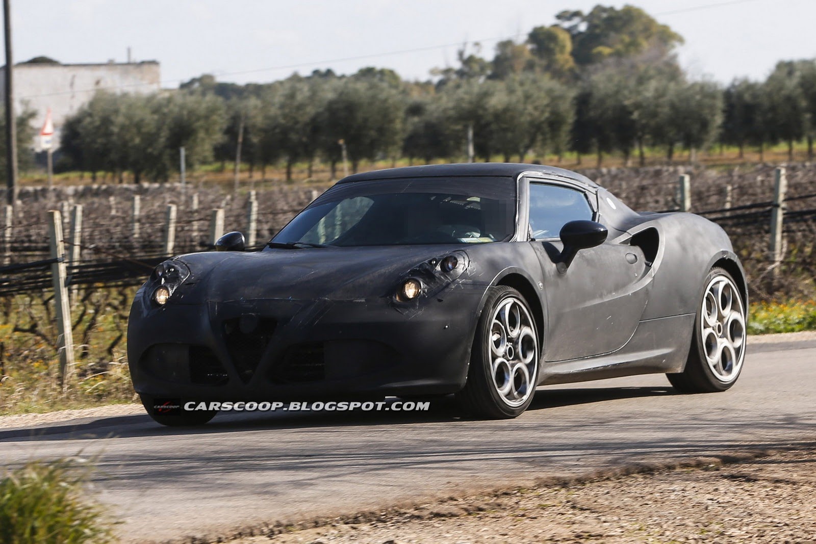 Alfa-Romeo-4C-Coupe-1Carscoop[6].jpg