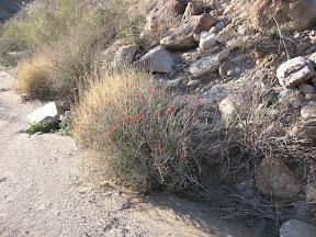 MountLaguna 017.jpg