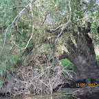 IMG_7641.JPG