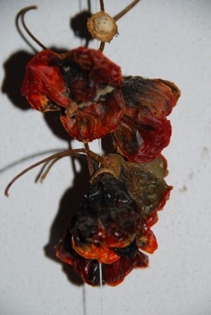 [DSC_0214%255B1%255D.jpg]