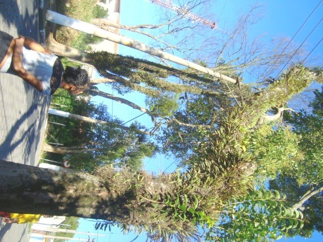 [DSC019267.jpg]