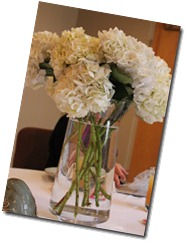 IMG_5082