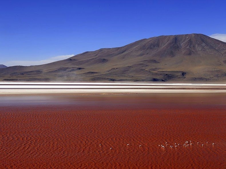 laguna-colorada-1