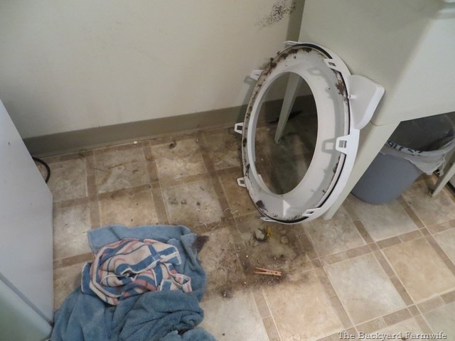 [washing%2520machine%2520makeover%252001%255B6%255D.jpg]