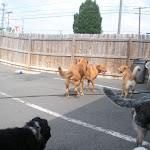DSCN4929.jpg