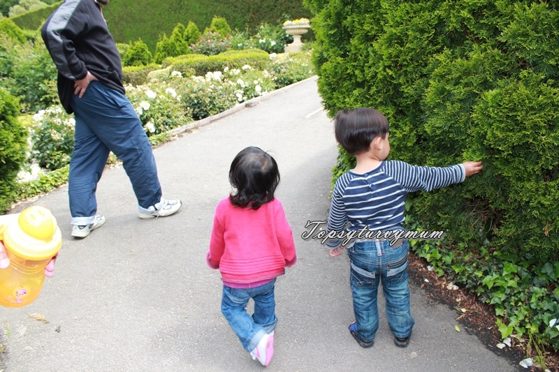 [IMG_3153%255B3%255D.jpg]