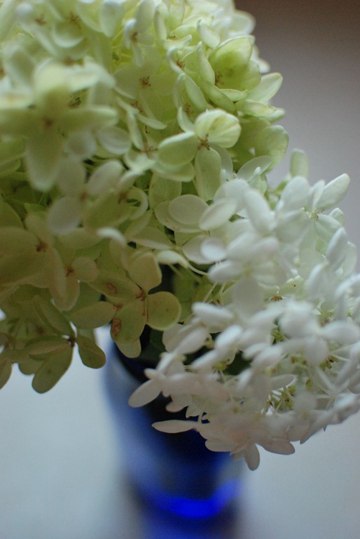 [glass%252C%2520pillow%252C%2520hydrangeas%2520035%255B7%255D.jpg]