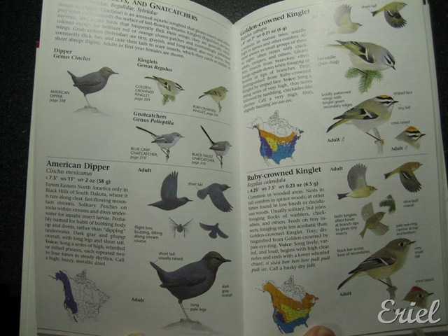 [gG%2520075%255B7%255D.jpg]